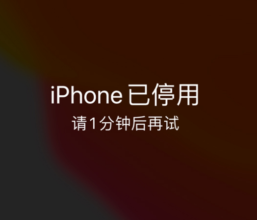 弋江苹果手机维修分享:iPhone 显示“不可用”或“已停用”怎么办？还能保留数据吗？ 