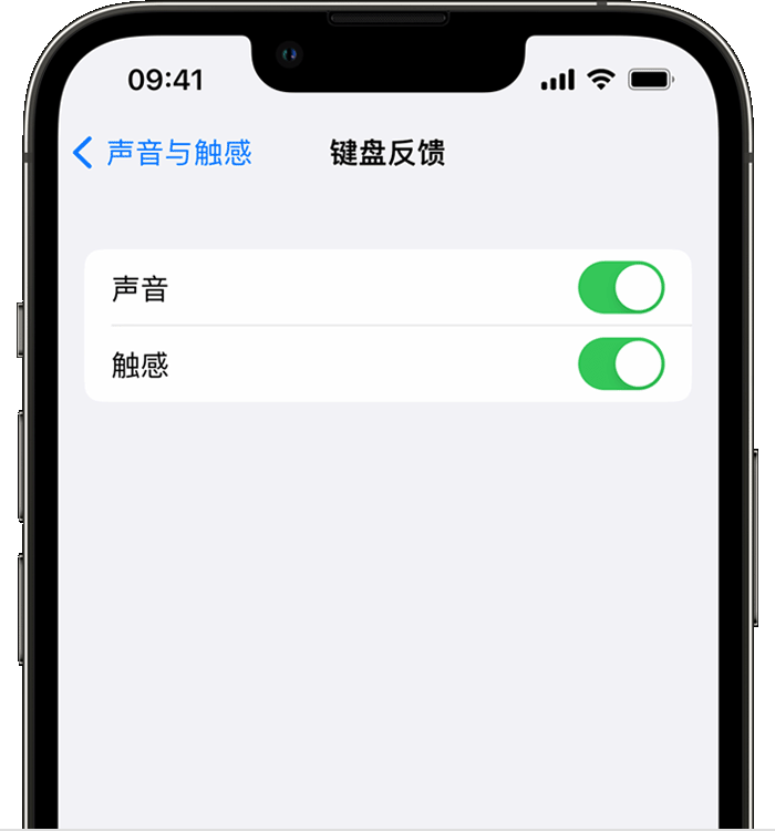 弋江苹果14维修店分享如何在 iPhone 14 机型中使用触感键盘 