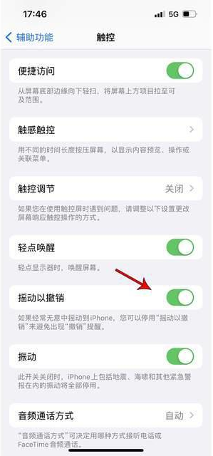 弋江苹果手机维修分享iPhone手机如何设置摇一摇删除文字 